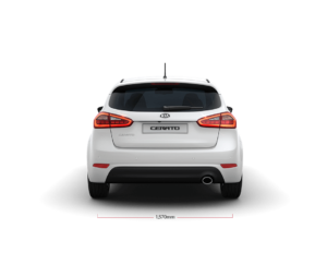Cerato h dimensiones